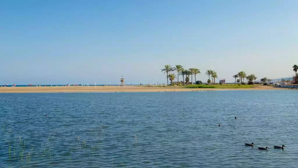 Playa Las Marinas-Bolaga